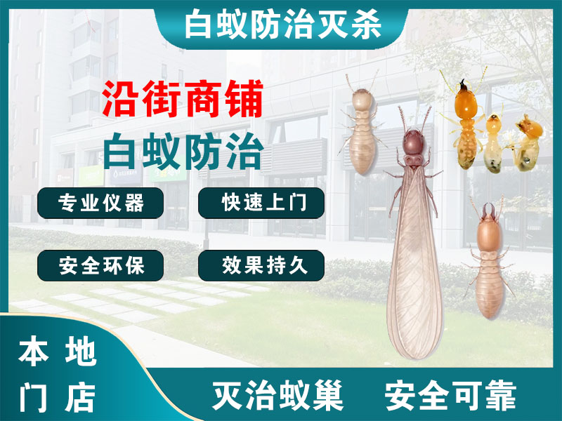 徐汇沿街商铺白蚁防治