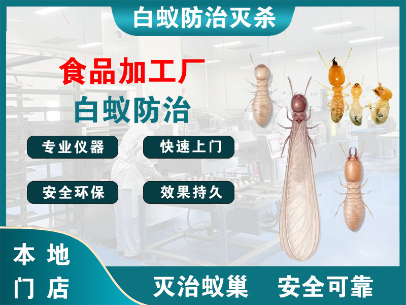 徐汇食品加工厂白蚁防治