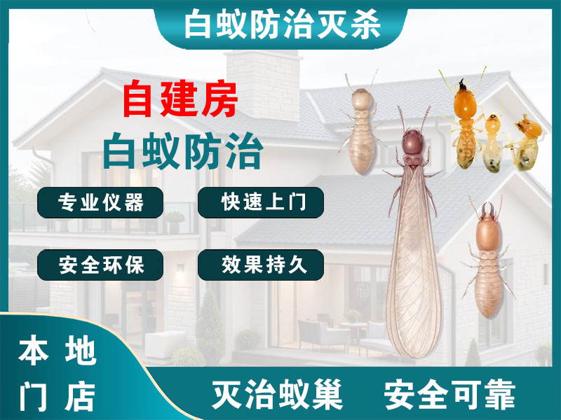 徐汇自建房白蚁防治
