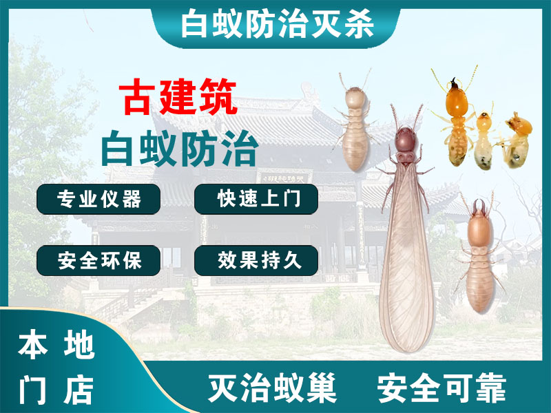 徐汇古建筑白蚁防治