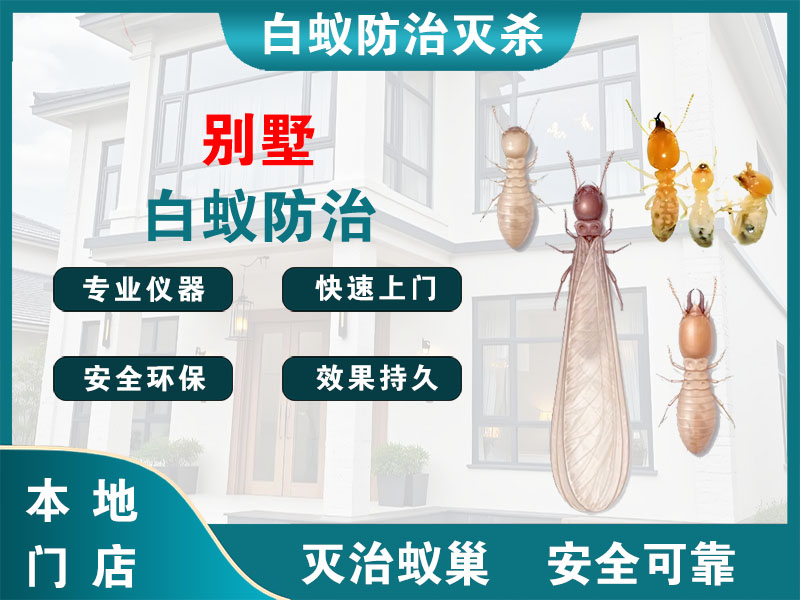 徐汇别墅白蚁防治